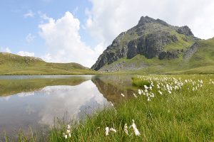 Sommer in Vorarlberg – jeden einzelnen Moment genießen 1 (c) Montafon Tourismus GmbH, Patrick Saely