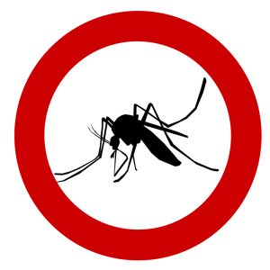 Das hilft gegen lästige Mücken und Juckreiz nach Stichen 1 (c) Pixabay.com