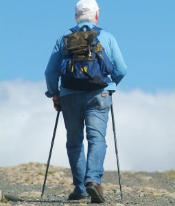 Nordic Walking – und es kommt doch auf die richtige Technik an 1 (c) Pixabay.com